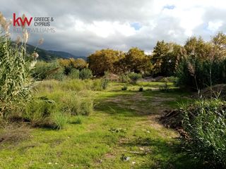 Οικόπεδο 6.693 τ.μ. για ενοικίαση, Αχαΐα, Πάτρα-thumb-1