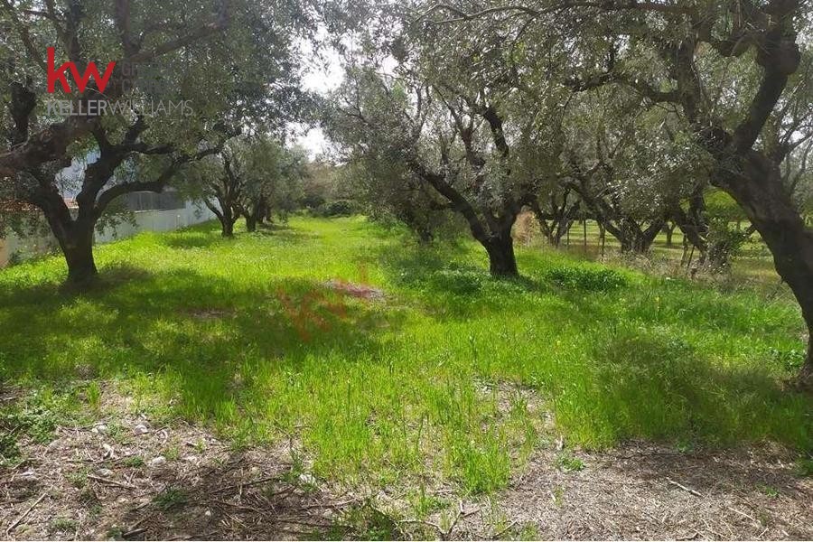 Οικόπεδο 893 τ.μ. προς πώληση, Κέντρο Ρίου