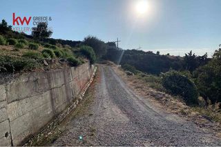 Οικόπεδο 569 τ.μ. προς πώληση, Αργυρά-thumb-6