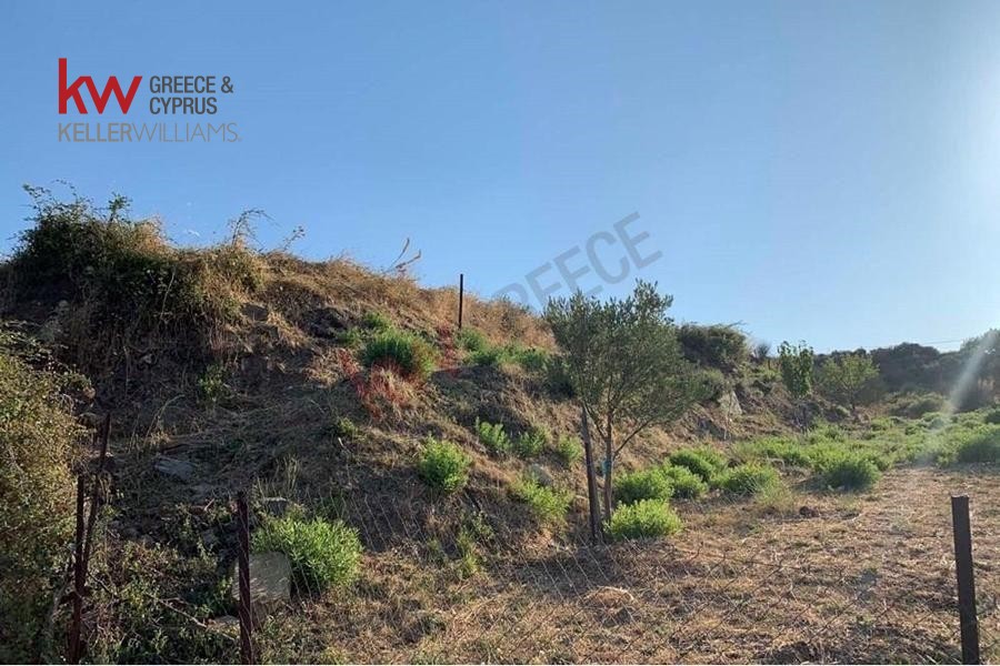 Οικόπεδο 569 τ.μ. προς πώληση, Αργυρά