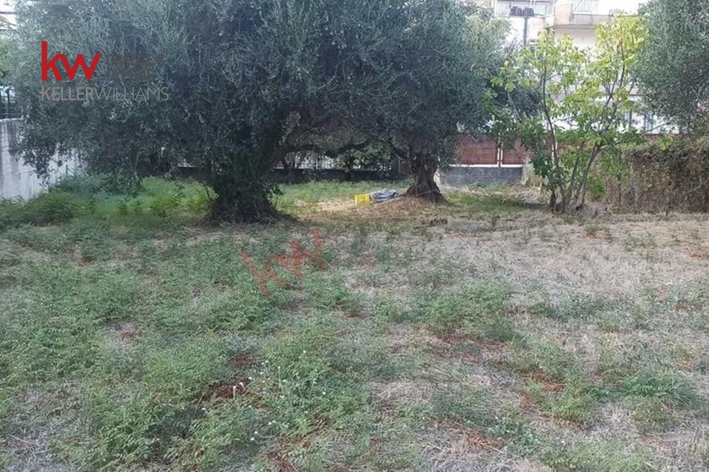Οικόπεδο 433,11 τ.μ. προς πώληση, Συχαινά