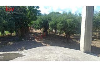 Μονοκατοικία 420 τ.μ. για πώληση, Αχαΐα, Ρίο-thumb-14
