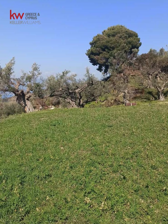 Οικόπεδο 4.039,90 τ.μ. προς πώληση, Άνω Καστρίτσι