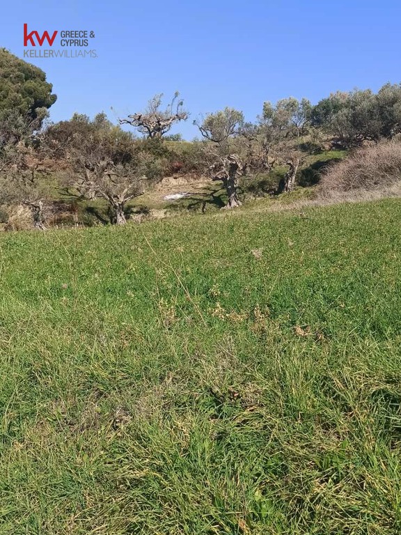 Οικόπεδο 4.039,90 τ.μ. προς πώληση, Άνω Καστρίτσι