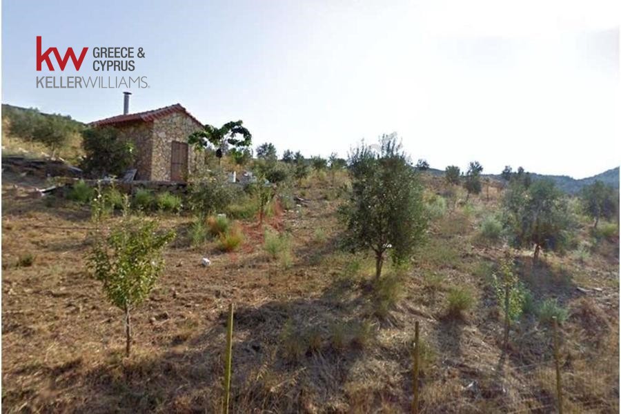 Αγροτεμάχια 13.000 τ.μ. πρός πώληση, Αιτωλοακαρνανία, Αντίρριο