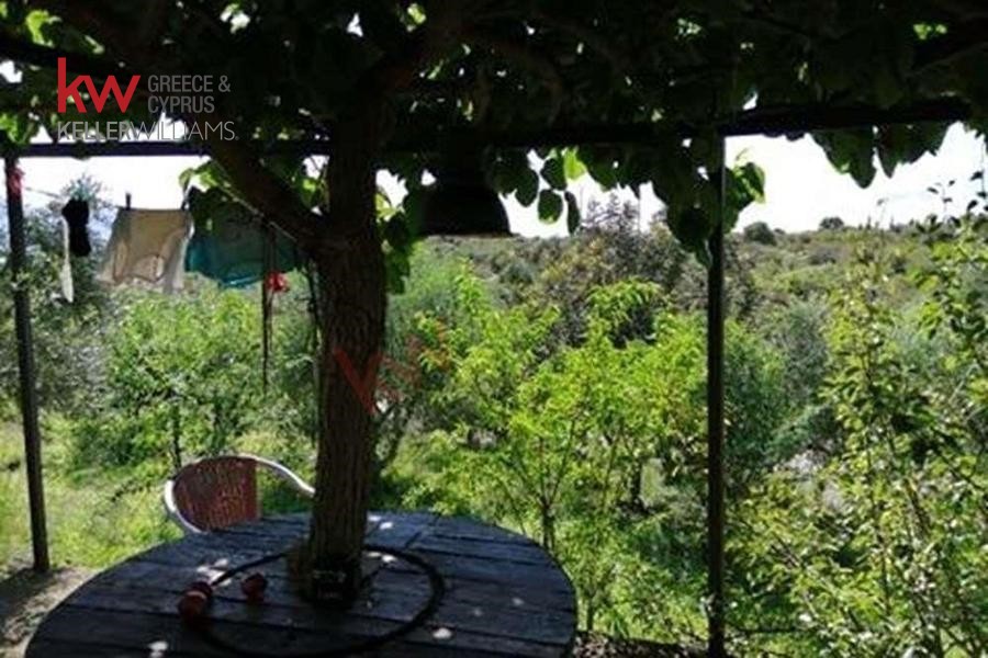 Αγροτεμάχια 13.000 τ.μ. πρός πώληση, Αιτωλοακαρνανία, Αντίρριο