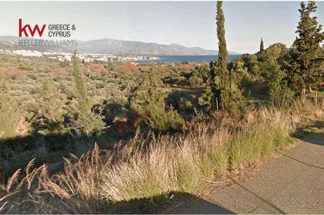 Οικόπεδο 1.005 τ.μ. για πώληση