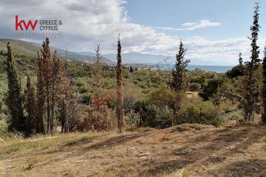Οικόπεδο 1.005 τ.μ. πρός πώληση, Αιτωλοακαρνανία, Αντίρριο