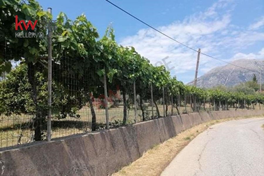 Οικόπεδο 1.560 τ.μ. πρός πώληση, Αιτωλοακαρνανία, Αντίρριο