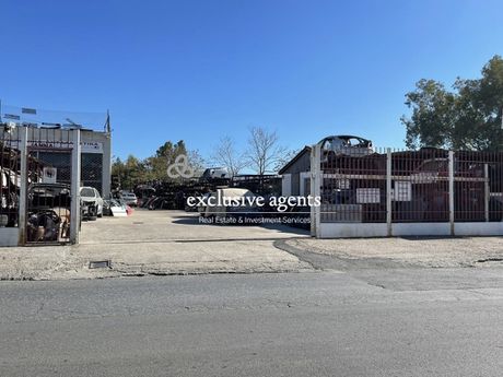 Οικόπεδο 6.000 τ.μ. για πώληση