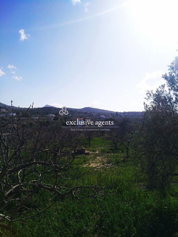 Μονοκατοικία 60 τ.μ. προς πώληση, Κέντρο Αίγινας