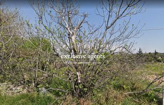 Οικόπεδο 7.146 τ.μ. προς πώληση