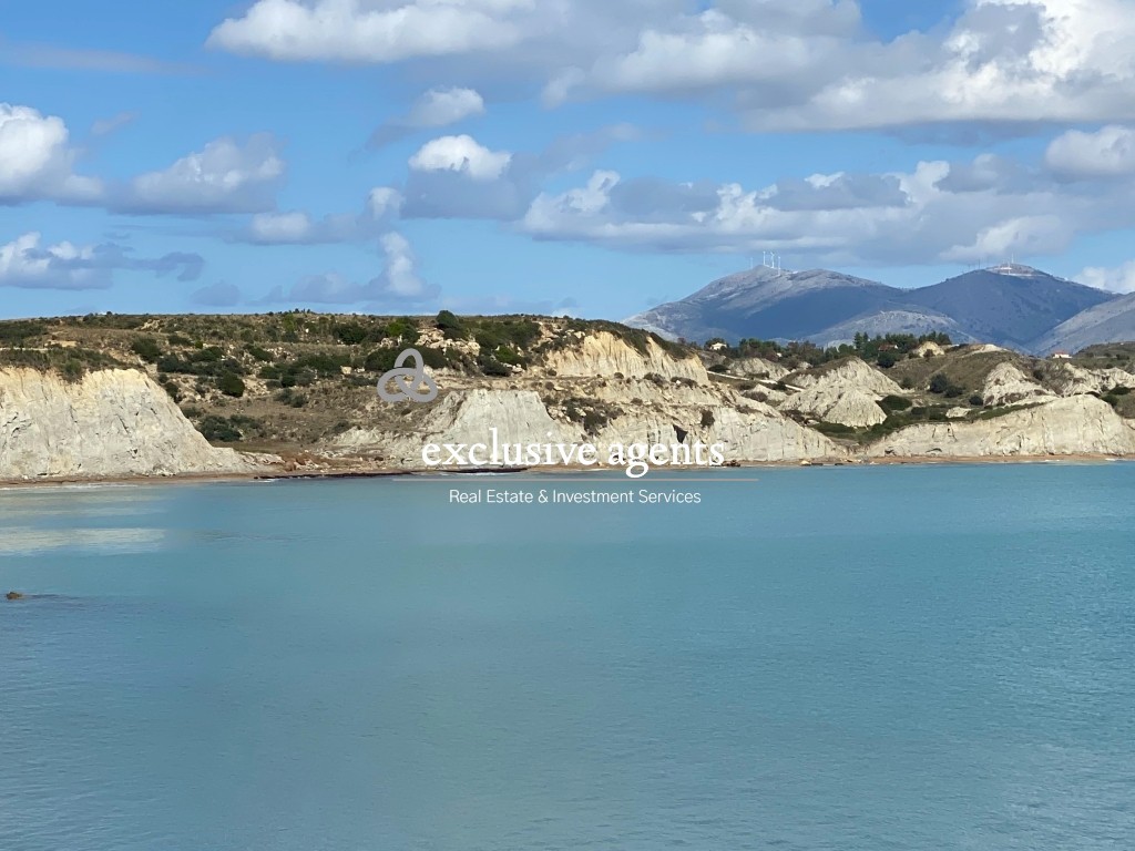 Οικόπεδο 8.800 τ.μ. προς πώληση, Παλική