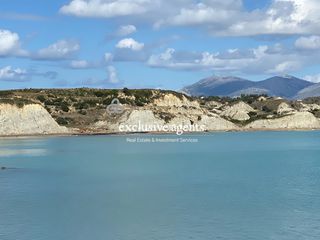 Οικόπεδο 8.800 τ.μ. για πώληση