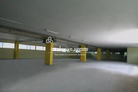 Βιοτεχνικός χώρος 4.780 τ.μ. για πώληση