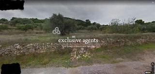 Οικόπεδο 6.700 τ.μ. προς πώληση