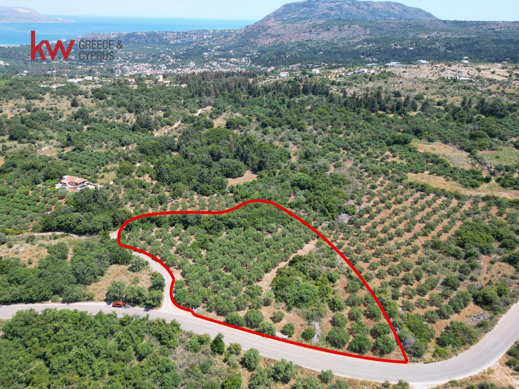Οικόπεδο 7.336 τ.μ. προς πώληση, Λιτσάρδα