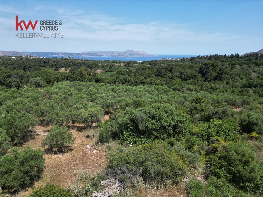 Οικόπεδο 7.336 τ.μ. προς πώληση, Λιτσάρδα