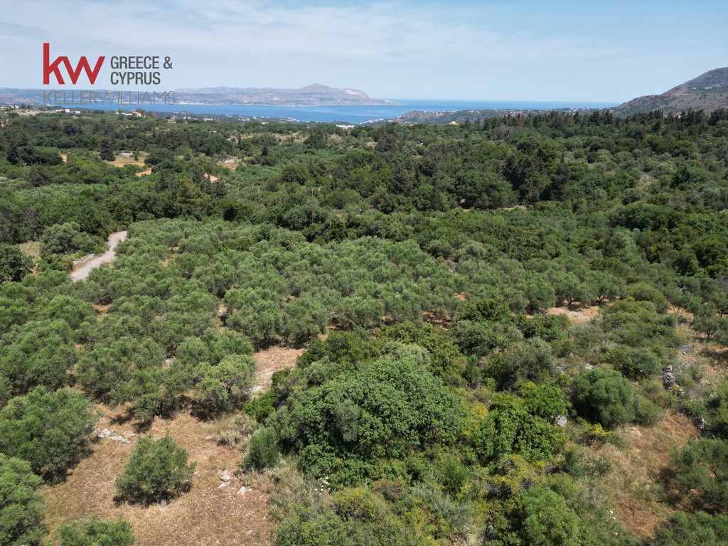 Οικόπεδο 7.336 τ.μ. προς πώληση, Λιτσάρδα