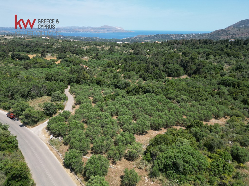 Οικόπεδο 7.336 τ.μ. προς πώληση, Λιτσάρδα