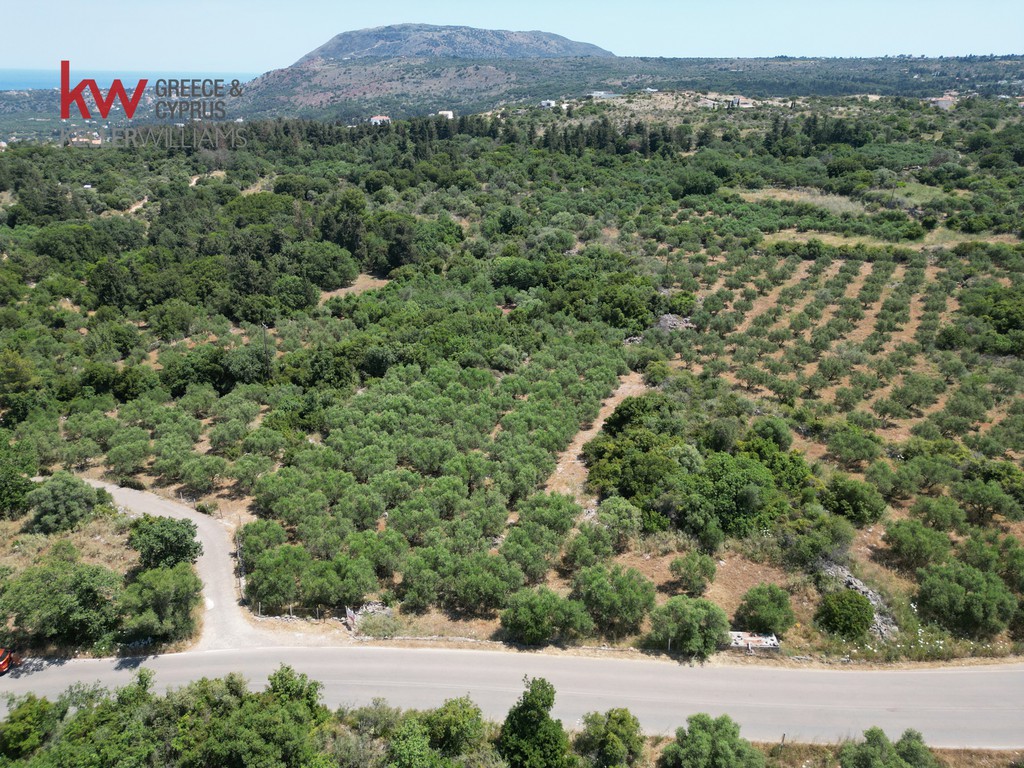 Οικόπεδο 7.336 τ.μ. προς πώληση, Λιτσάρδα