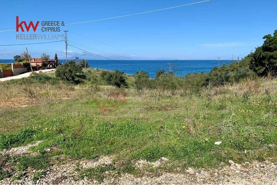 Οικόπεδο 13.300 τ.μ. προς πώληση, Ψηλή Ράχη