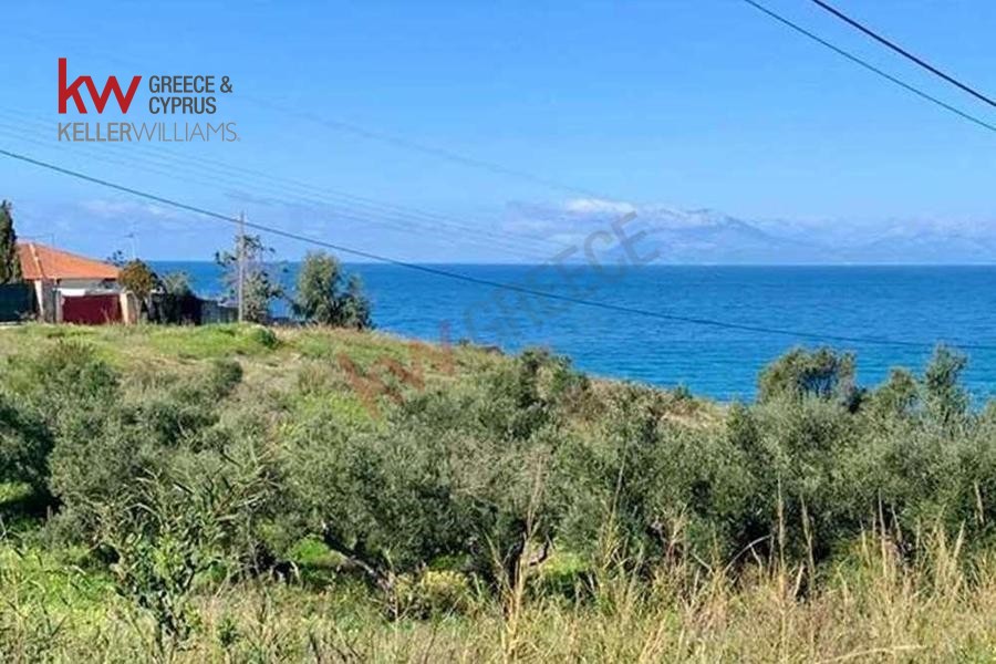 Οικόπεδο 13.300 τ.μ. προς πώληση, Ψηλή Ράχη
