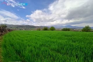 Αγροτεμάχια 6.500 τ.μ. για πώληση