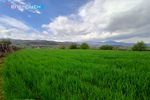Αγροτεμάχια 6.500τ.μ. για πώληση-Δοβρά