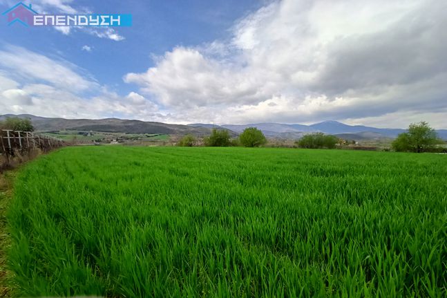 Αγροτεμάχια 6.500 τ.μ. για πώληση, Ημαθία, Δοβρά