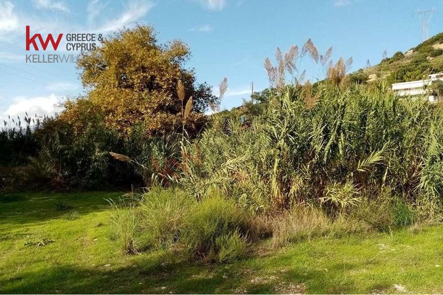 Οικόπεδο 6.693 τ.μ. προς πώληση, Συχαινά