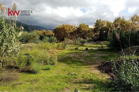 Οικόπεδο 6.693 τ.μ. για πώληση