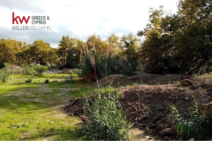 Οικόπεδο 6.693 τ.μ. προς πώληση, Συχαινά
