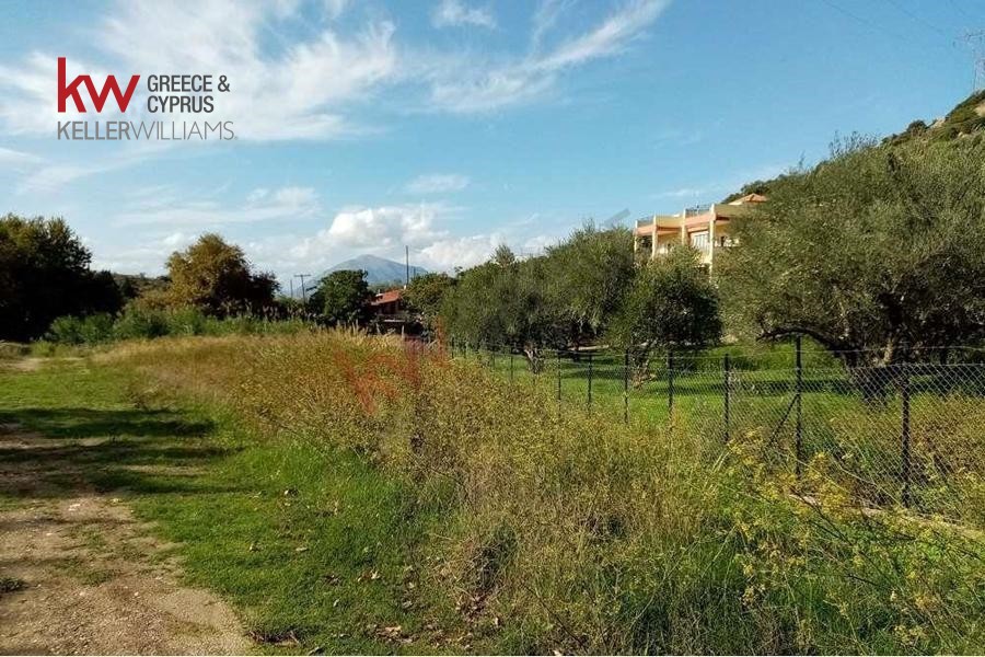 Οικόπεδο 6.693 τ.μ. προς πώληση, Συχαινά