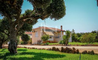 Ξενοδοχείο 280 τ.μ. για πώληση, Μεσσηνία, Φιλιατρά-thumb-1