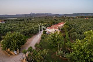 Ξενοδοχείο 280 τ.μ. για πώληση, Μεσσηνία, Φιλιατρά-thumb-27