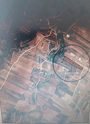 Land plot 9.000 sqm for sale, Rest Of Attica, Markopoulo