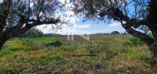 Αγροτεμάχια 12.967,22 τ.μ. πρός πώληση, Μεσσηνία, Φιλιατρά-thumb-13
