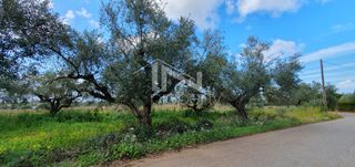 Αγροτεμάχια 12.967,22 τ.μ. πρός πώληση, Μεσσηνία, Φιλιατρά-thumb-11