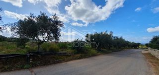 Αγροτεμάχια 12.967,22 τ.μ. πρός πώληση, Μεσσηνία, Φιλιατρά-thumb-14