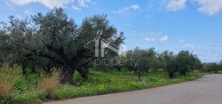 Αγροτεμάχια 12.967,22 τ.μ. πρός πώληση, Μεσσηνία, Φιλιατρά-thumb-6