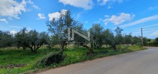 Αγροτεμάχια 12.967,22 τ.μ. πρός πώληση, Μεσσηνία, Φιλιατρά-thumb-10