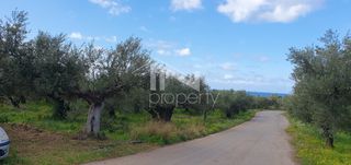 Αγροτεμάχια 12.967,22 τ.μ. πρός πώληση, Μεσσηνία, Φιλιατρά-thumb-4