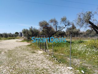 Οικόπεδο 418 τ.μ. για πώληση, Αχαΐα, Μεσσατίδα-thumb-3