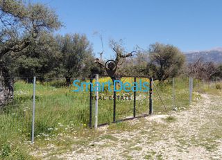 Οικόπεδο 418 τ.μ. για πώληση, Αχαΐα, Μεσσατίδα-thumb-5