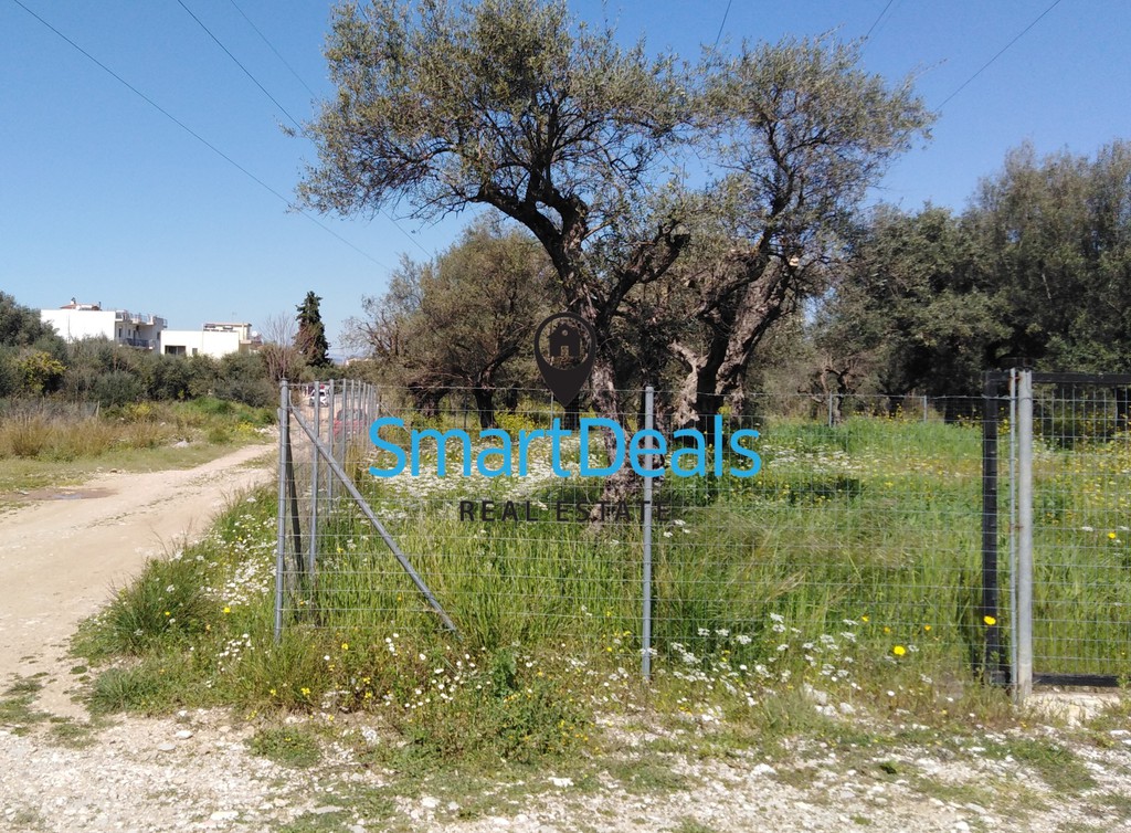 Οικόπεδο 418 τ.μ. προς πώληση, Μεσσάτιδα