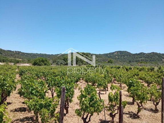 Land plot 2.000 sqm for sale, Evia, Istiaia