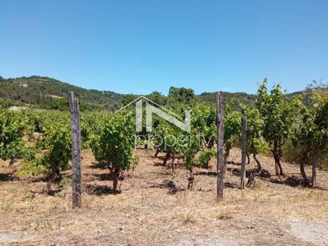 Land plot 2.000sqm for sale-Istiaia
