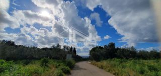 Αγροτεμάχια 5.000 τ.μ. προς πώληση, Βρύσες Φιλιατρών-thumb-16
