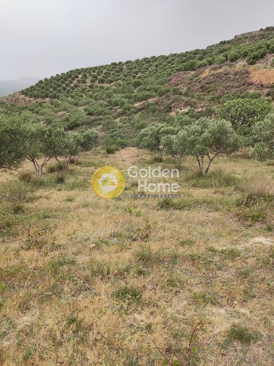 Αγροτεμάχια 2.100 τ.μ. προς πώληση, Ν. Ηρακλείου, Κοφίνας